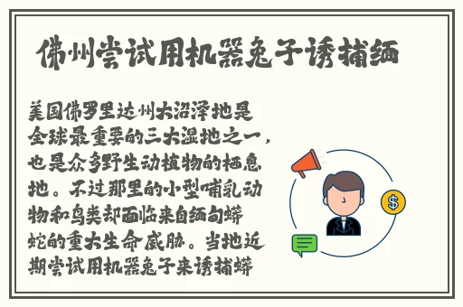 M豆精品无码国产在线